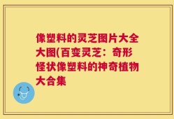 像塑料的灵芝图片大全大图(百变灵芝：奇形怪状像塑料的神奇植物大合集