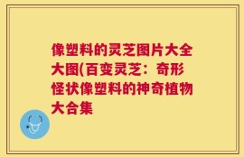 像塑料的灵芝图片大全大图(百变灵芝：奇形怪状像塑料的神奇植物大合集