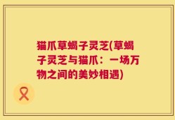 猫爪草蝎子灵芝(草蝎子灵芝与猫爪：一场万物之间的美妙相遇)