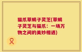 猫爪草蝎子灵芝(草蝎子灵芝与猫爪：一场万物之间的美妙相遇)