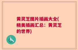 黄灵芝图片插画大全(精美插画汇总：黄灵芝的世界)