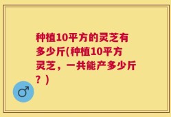 种植10平方的灵芝有多少斤(种植10平方灵芝，一共能产多少斤？)