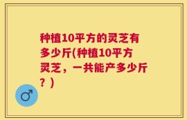 种植10平方的灵芝有多少斤(种植10平方灵芝，一共能产多少斤？)