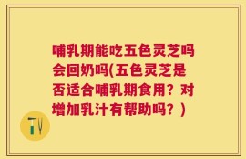 哺乳期能吃五色灵芝吗会回奶吗(五色灵芝是否适合哺乳期食用？对增加乳汁有帮助吗？)