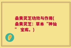 桑黄灵芝功效与作用(桑黄灵芝：草本“神仙” 宝库。)
