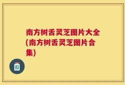 南方树舌灵芝图片大全(南方树舌灵芝图片合集)