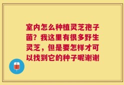 室内怎么种植灵芝孢子菌？我这里有很多野生灵芝，但是要怎样才可以找到它的种子呢谢谢