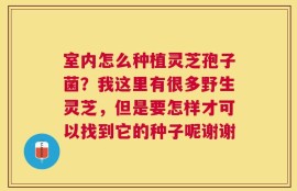 室内怎么种植灵芝孢子菌？我这里有很多野生灵芝，但是要怎样才可以找到它的种子呢谢谢