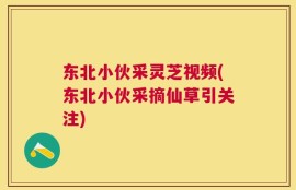 东北小伙采灵芝视频(东北小伙采摘仙草引关注)