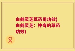 白鹤灵芝草药用功效(白鹤灵芝：神奇的草药功效)