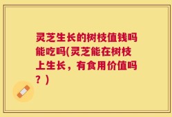灵芝生长的树枝值钱吗能吃吗(灵芝能在树枝上生长，有食用价值吗？)