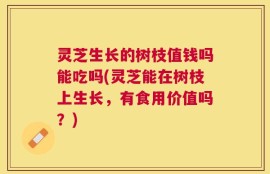 灵芝生长的树枝值钱吗能吃吗(灵芝能在树枝上生长，有食用价值吗？)