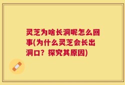 灵芝为啥长洞呢怎么回事(为什么灵芝会长出洞口？探究其原因)