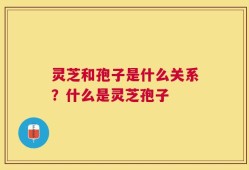 灵芝和孢子是什么关系？什么是灵芝孢子