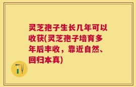 灵芝孢子生长几年可以收获(灵芝孢子培育多年后丰收，靠近自然、回归本真)