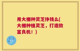 用大棚种灵芝挣钱么(大棚种植灵芝，打造致富良机！)