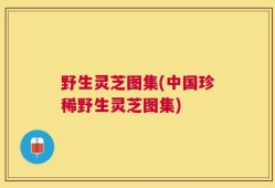 野生灵芝图集(中国珍稀野生灵芝图集)