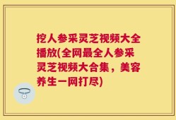 挖人参采灵芝视频大全播放(全网最全人参采灵芝视频大合集，美容养生一网打尽)