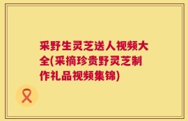 采野生灵芝送人视频大全(采摘珍贵野灵芝制作礼品视频集锦)