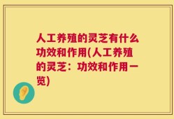 人工养殖的灵芝有什么功效和作用(人工养殖的灵芝：功效和作用一览)