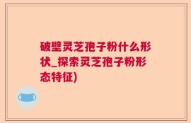 破壁灵芝孢子粉什么形状_探索灵芝孢子粉形态特征)