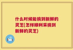 什么时候能摘到新鲜的灵芝(怎样顺利采摘到新鲜的灵芝)