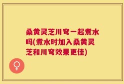 桑黄灵芝川穹一起煮水吗(煮水时加入桑黄灵芝和川穹效果更佳)