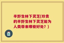 半野生林下灵芝(珍贵的半野生林下灵芝能为人类带来哪些好处？)