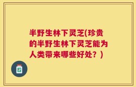 半野生林下灵芝(珍贵的半野生林下灵芝能为人类带来哪些好处？)