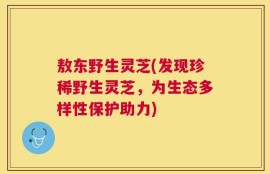 敖东野生灵芝(发现珍稀野生灵芝，为生态多样性保护助力)
