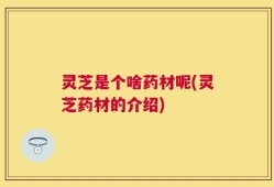 灵芝是个啥药材呢(灵芝药材的介绍)