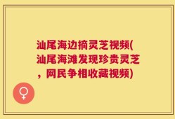 汕尾海边摘灵芝视频(汕尾海滩发现珍贵灵芝，网民争相收藏视频)