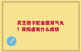 灵芝孢子配金匮肾气丸？肾阳虚有什么症状