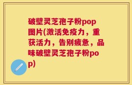 破壁灵芝孢子粉pop图片(激活免疫力，重获活力，告别疲惫，品味破壁灵芝孢子粉pop)