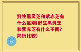 野生黑灵芝和紫赤芝有什么区别(野生黑灵芝和紫赤芝有什么不同？简析比较)