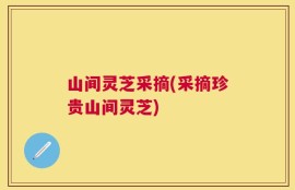 山间灵芝采摘(采摘珍贵山间灵芝)