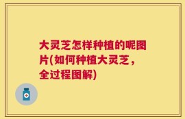 大灵芝怎样种植的呢图片(如何种植大灵芝，全过程图解)