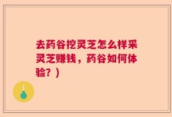 去药谷挖灵芝怎么样采灵芝赚钱，药谷如何体验？)