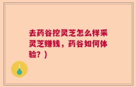 去药谷挖灵芝怎么样采灵芝赚钱，药谷如何体验？)