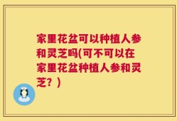 家里花盆可以种植人参和灵芝吗(可不可以在家里花盆种植人参和灵芝？)