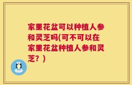 家里花盆可以种植人参和灵芝吗(可不可以在家里花盆种植人参和灵芝？)