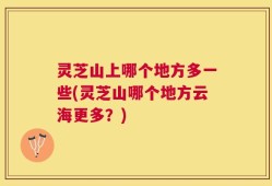 灵芝山上哪个地方多一些(灵芝山哪个地方云海更多？)