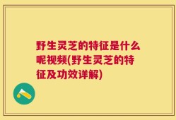 野生灵芝的特征是什么呢视频(野生灵芝的特征及功效详解)