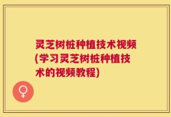 灵芝树桩种植技术视频(学习灵芝树桩种植技术的视频教程)