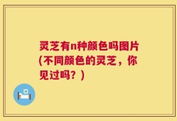 灵芝有n种颜色吗图片(不同颜色的灵芝，你见过吗？)