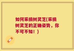如何采摘树灵芝(采摘树灵芝的正确姿势，你不可不知！)