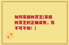 如何采摘树灵芝(采摘树灵芝的正确姿势，你不可不知！)
