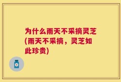 为什么雨天不采摘灵芝(雨天不采摘，灵芝如此珍贵)