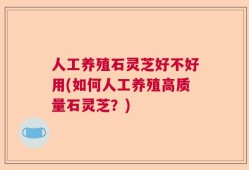 人工养殖石灵芝好不好用(如何人工养殖高质量石灵芝？)