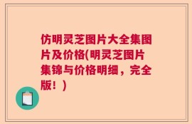 仿明灵芝图片大全集图片及价格(明灵芝图片集锦与价格明细，完全版！)
